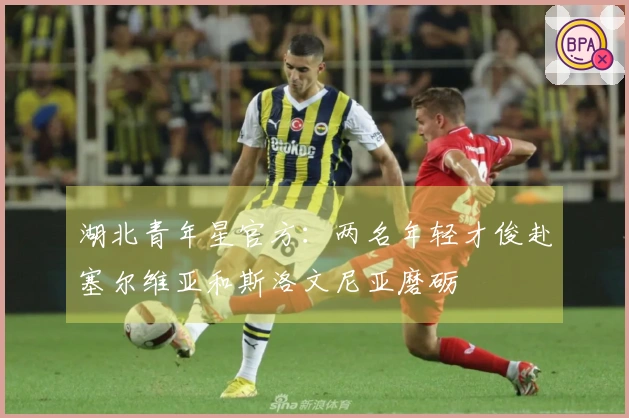 湖北青年星官方：两名年轻才俊赴塞尔维亚和斯洛文尼亚磨砺