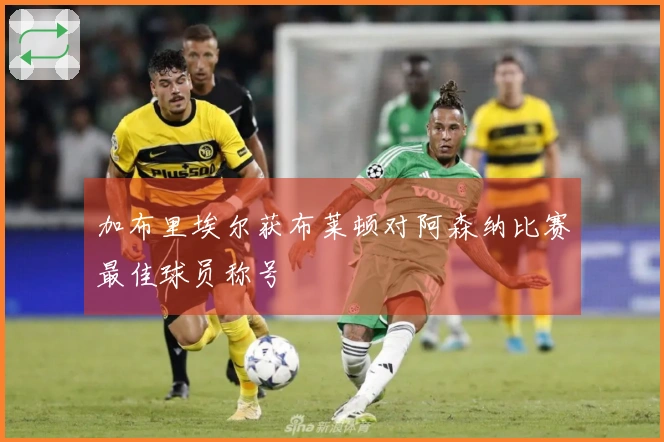 加布里埃尔获布莱顿对阿森纳比赛最佳球员称号