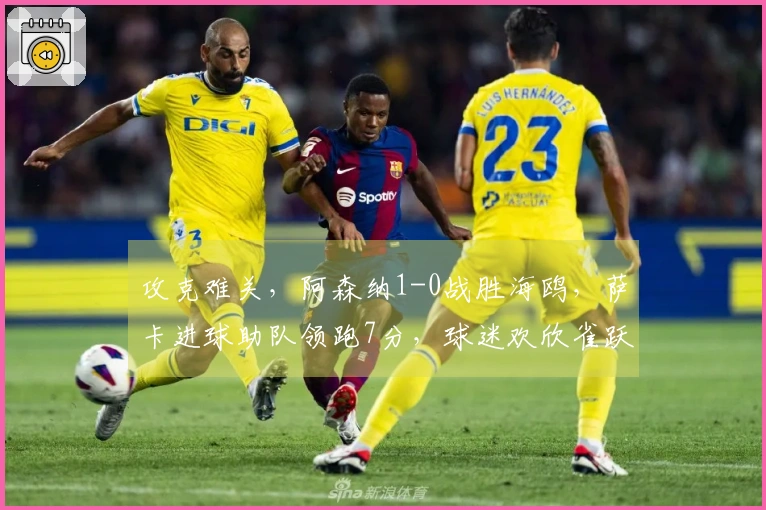 攻克难关，阿森纳1-0战胜海鸥，萨卡进球助队领跑7分，球迷欢欣雀跃